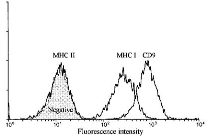 FIG. 3. Flow cytometric analysis of feline skin ﬁbroblast cell surface markerexpression