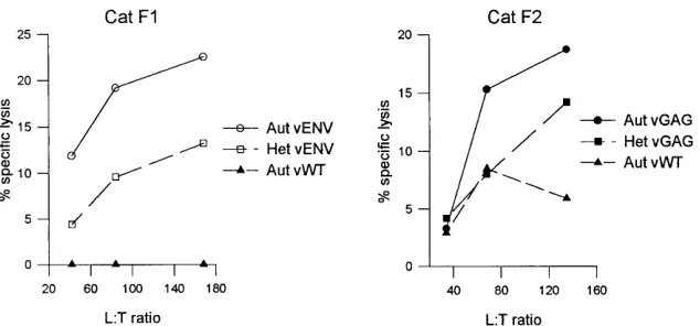 FIG. 7. FIV GAG- and ENV-speciﬁc cytotoxic responses from restimulated lymph node lymphocytes during chronic infection (127 weeks p.i.)