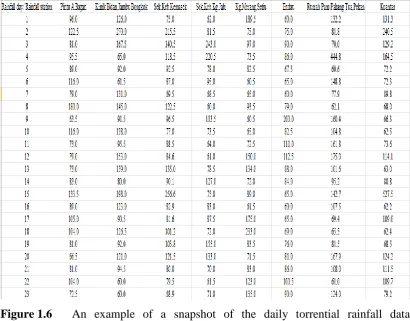 Figure 1.6      An example of a snapshot of the daily torrential rainfall data 