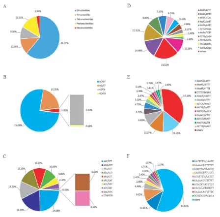 Figure 2. Distribution of repeat types in the M. albus. The proportion of five different nucleotide repeat types to total SSR (A)