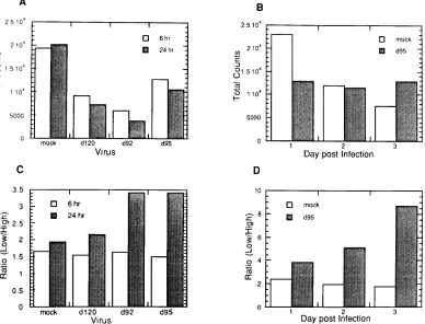 FIG. 6. Quantitation of mRNA accumulation and poly(A) site usage of cellular �Materials and Methods