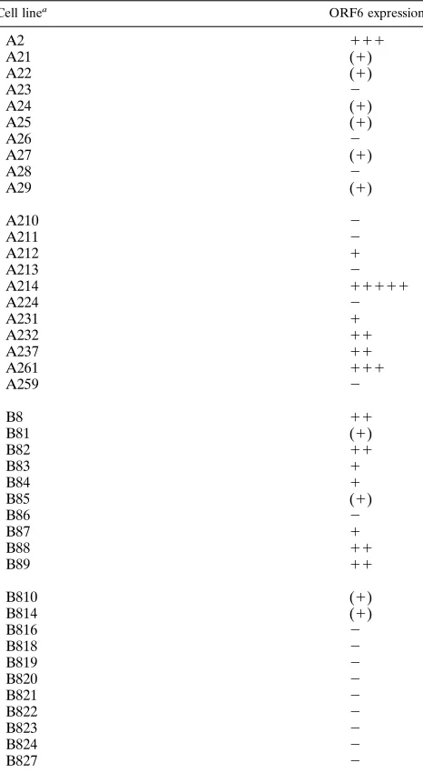 TABLE 1. Inducible expression of E4-ORF6 in 293-ORF6 cell lines