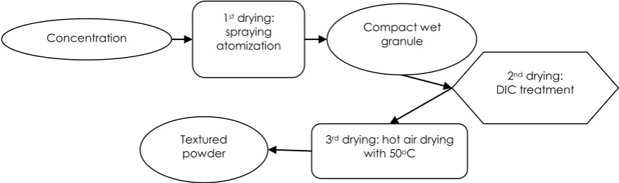 Figure 2 Schematic presentation of spray-DIC dryer 