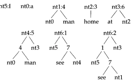 Figure 5 Tree substitution grammar that derives each of the two derivation trees of the sentence nt6