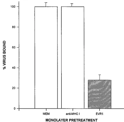 TABLE 1. Speciﬁcity of MAb EVR1 cell protection