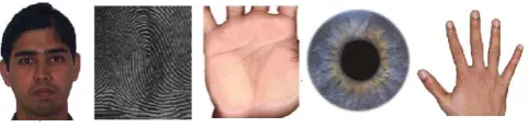 Fig. 1. Examples of biometric characteristic 
