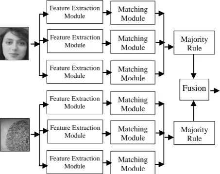 Fig. 6. Sample fingerprint images from FVC 2004 database 