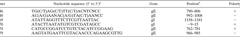TABLE 1. Oligonucleotide primers