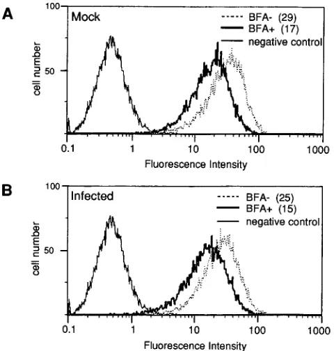 FIG. 3. Flow cytometry analysis of class I MHC surface expression on cellstreated with BFA