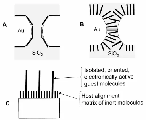 Figure 8: Orientation of molecules between two probes.  From Allera et al.16, “Evolution and Strategies for Self-Assembly and Hookup of Molecular-Based Devices.” 