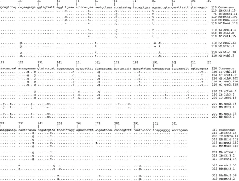 FIG. 1. Sequence alignments of Briant et al. (6) data involving four sets of highly similar sequences drawn from different mother-infant pairs