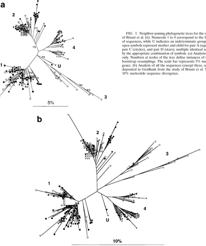 FIG. 3. Neighbor-joining phylogenetic trees for the sequences from the studyof Briant et al