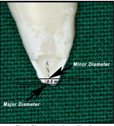 Fig. 1: Picture showing calibrationusing Adobe software
