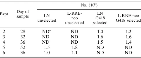TABLE 3. Numbers of nonadherent cells in LTBMC after HIV-1 infection