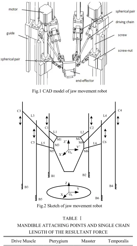 Fig.1 CAD model of jaw movement robot 