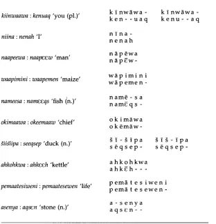 Table 9 Alignments obtained with test set of Fox-Menomini cognate pairs. 