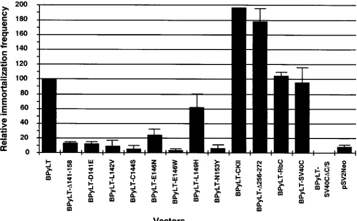 TABLE 1. In vitro pRb and p107 binding and relativeimmortalization frequency of primary REFs by wild-type and