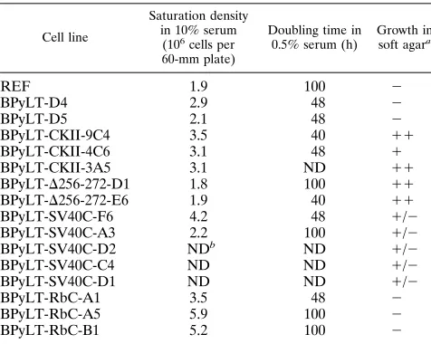 TABLE 2. Growth characteristics of wild-type and mutant Py LT-Ag immortalized cell lines