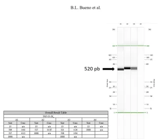 Figure 4:  Construction of the control curve. Representation the amplification curves of the standard plasmid DNA curve