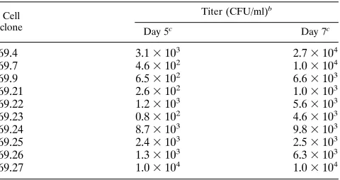 TABLE 1. Virus production from clone 4 packaging cells