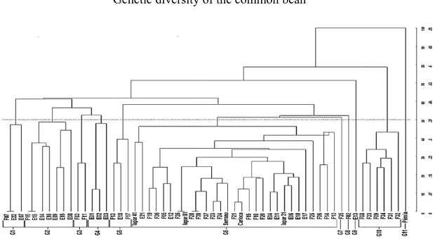 Figure 2Figure 2common beans obtained by the UPGMA method, forming 11 groups (G1 to G11)