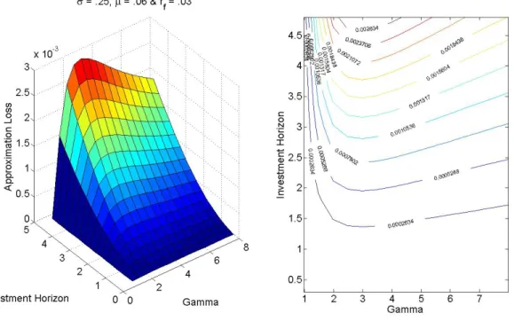 Figure 3: Left: The surface shows the approximation loss for γ ∈ [0.98; 8], φ = θ = 0.98 and an investment horizon between 3 months and 5 years