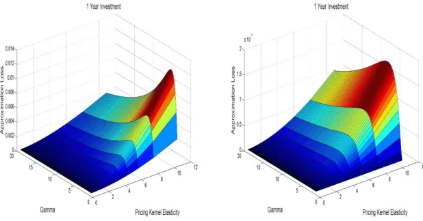 Figure 5: Left: The approximation loss for an investment horizon of one year as a function of θ and γ, assuming a lognormal market return with σ = 0.25