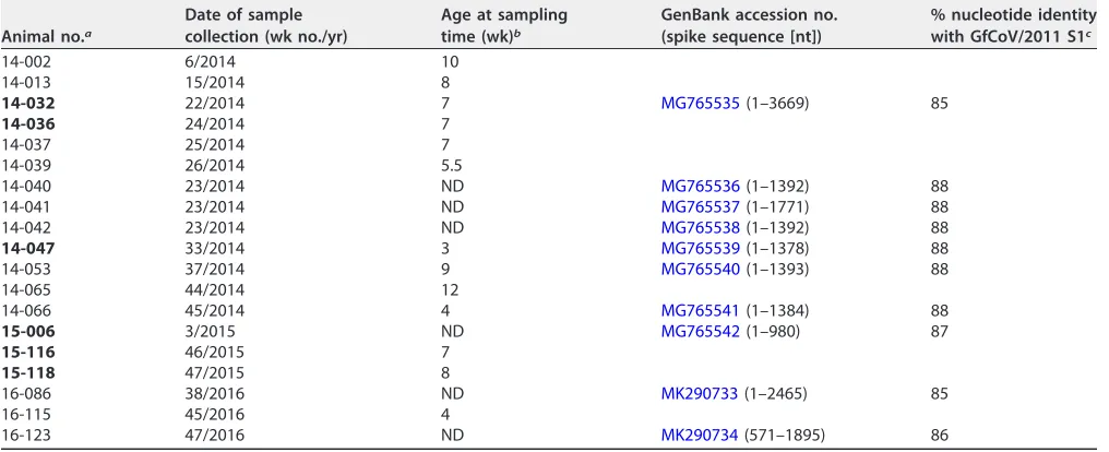 FIG 1 (Immuno)histological analyses of guinea fowl intestinal tract. Shown are representative images ofduodenum and colon from a guinea fowl presenting with peracute enteritis in 2014 after samples werestained with H&E or antibodies against the M protein o