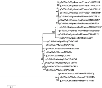 FIG 2 Molecular phylogenetic analysis by maximum likelihood method comparing GfCoV (partial) spike sequences.Phylogenetic tree was based on the Kimura two-parameter model, in which bootstrap values are shown next to thebranches