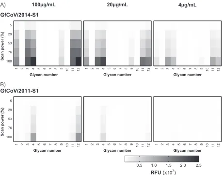 TABLE 2 Relative binding of viral proteins and lectins on guinea fowl intestinal tissuesa