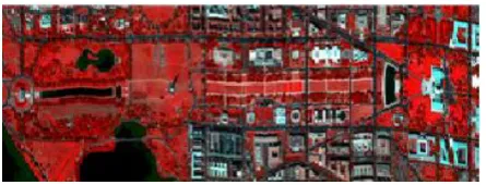Fig 2: Hyperspectral image of Washington D. C. mall [18]. 