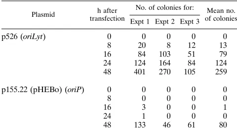 TABLE 1. Plasmid rescue in transient replication assayswith oriLyt and oriP plasmids in D98HR1 cellsa