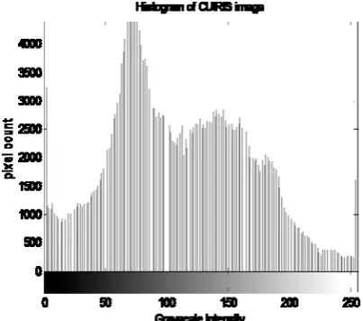 Fig 1: Histogram of a grayscale CUiris image  