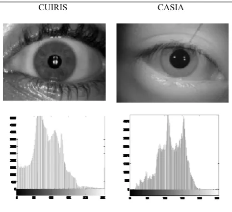 TABLE III: HISTOGRAM OF CUIRIS AND CASIA IRIS IMAGES 