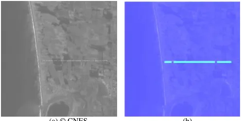 Fig. 8 Dropout (SPOT). (a) Some electronic losses during the image formation (a) © CNES                                                 (b) process create these randomly saturated pixels