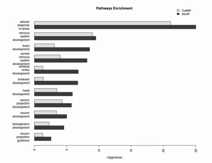 Figure 5: GO pathways enrichment. The enriched nodes of particular interest include 