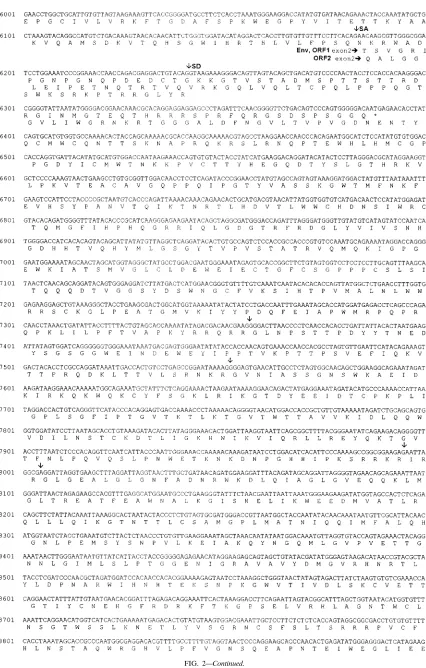 FIG. 2—Continued.