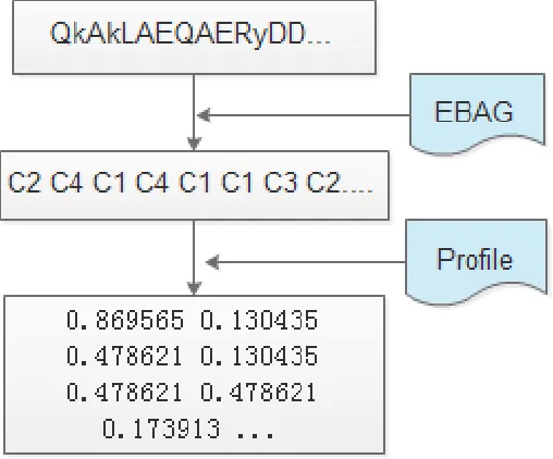 Figure 1. Process of feature extraction.