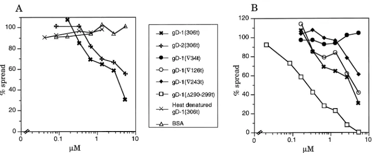 FIG. 6. Effect of gDt on HSV cell-to-cell spread. HSV-1 (50 PFU) was added to Vero cell monolayers in 48-well plates for 90 min at 4�37�C