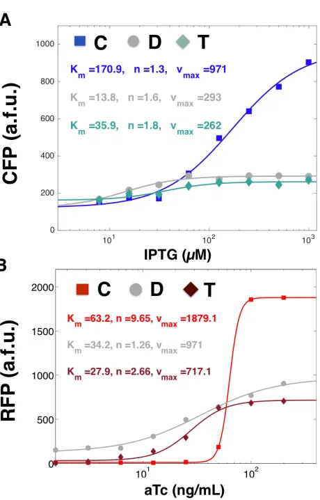 Figure 2.4: Ultrasensitivity, basal expression, and amplitude of gene inductionresponses are signiﬁcantly aﬀected by compositional context: (A) Induction curvesfor convergent-, divergent-, and tandem- oriented CFP ﬁtted to a Hill function at aTc = 200ng/mL
