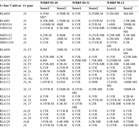 Table 1. Percent LAI of field evaluated wheat cultivars including lines having Lr34 alone and Lr34 in combination with different genes to different leaf rust isolates.