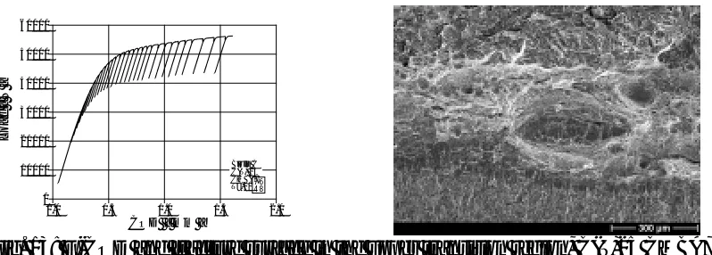 Fig. 13: F-COD and fracture surface in the upper transition region, C(T)25 CMBA7 (-10°C) 