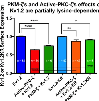 Figure  3.2.  PKM-ζ’s  and  Active-PKC-ζ’s  effects  on  Kv1.2  are  partially  lysine- lysine-dependent