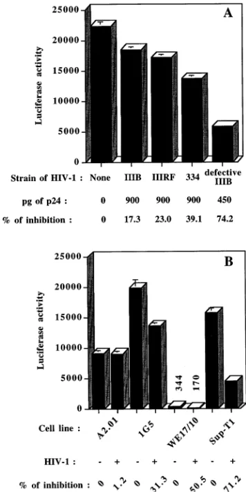 FIG. 1. Inhibition of LTR-directed reporter gene expression is induced bydifferent strains of HIV-1 and is observed in several T-lymphoid cell lines