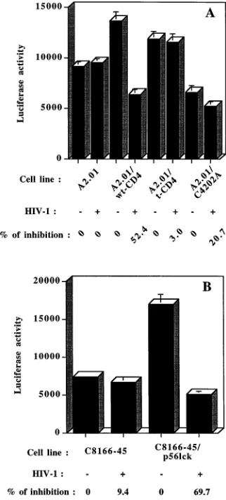 FIG. 3. Inhibition of LTR-dependent luciferase activity mediated by HIV-1requires intact virus particles and is inhibited by soluble CD4