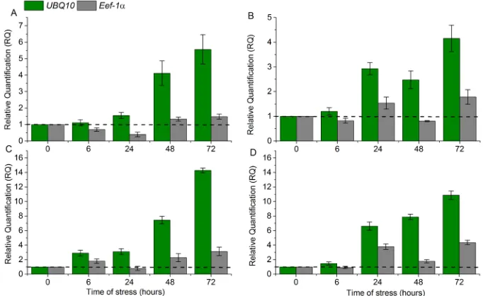Figure 6. Relative quantification (RQ) of expression of the genes that codify the APX2 (A and B) and GR2 (C and D) isoforms in leaves of the rice genotypes BRS Bojuru (A and C) and BRS Pampa (B and D) subjected to a low temperature (13°C) in the vegetative