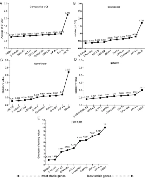 Figure 1. Expression levels of the different candidate reference genes. The expression data are shown by the values of the RT-qPCR quantification cycle (Cq), in the BRS Bojuru (A) and BRS Pampa (B) genotypes, in the vegetative stage under low temperature (