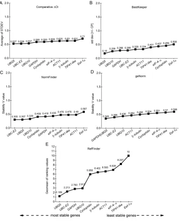 Figure 4. Expression stability of ten candidate reference genes, in accordance with the comparative ΔCt (A), BestKeeper (B), NormFinder (C), geNorm (D), and RefFinder (E) algorithms, in rice leaves from the BRS Pampa genotype, subjected, in the vegetative stage, to low temperature (13°C) stress during different periods of time.