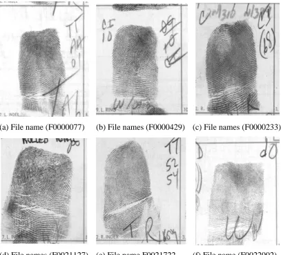 Figure 1.3 Examples of ambiguous fingerprints found in NIST special Database 