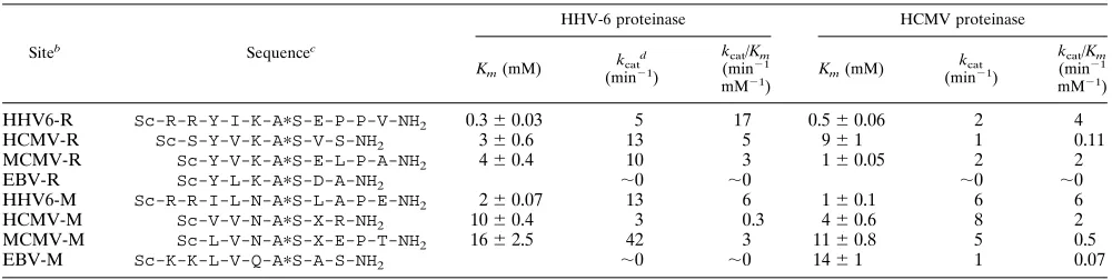 TABLE 1. Cleavage of synthetic peptide substrates by recombinant HHV-6 and HCMV proteinasesa